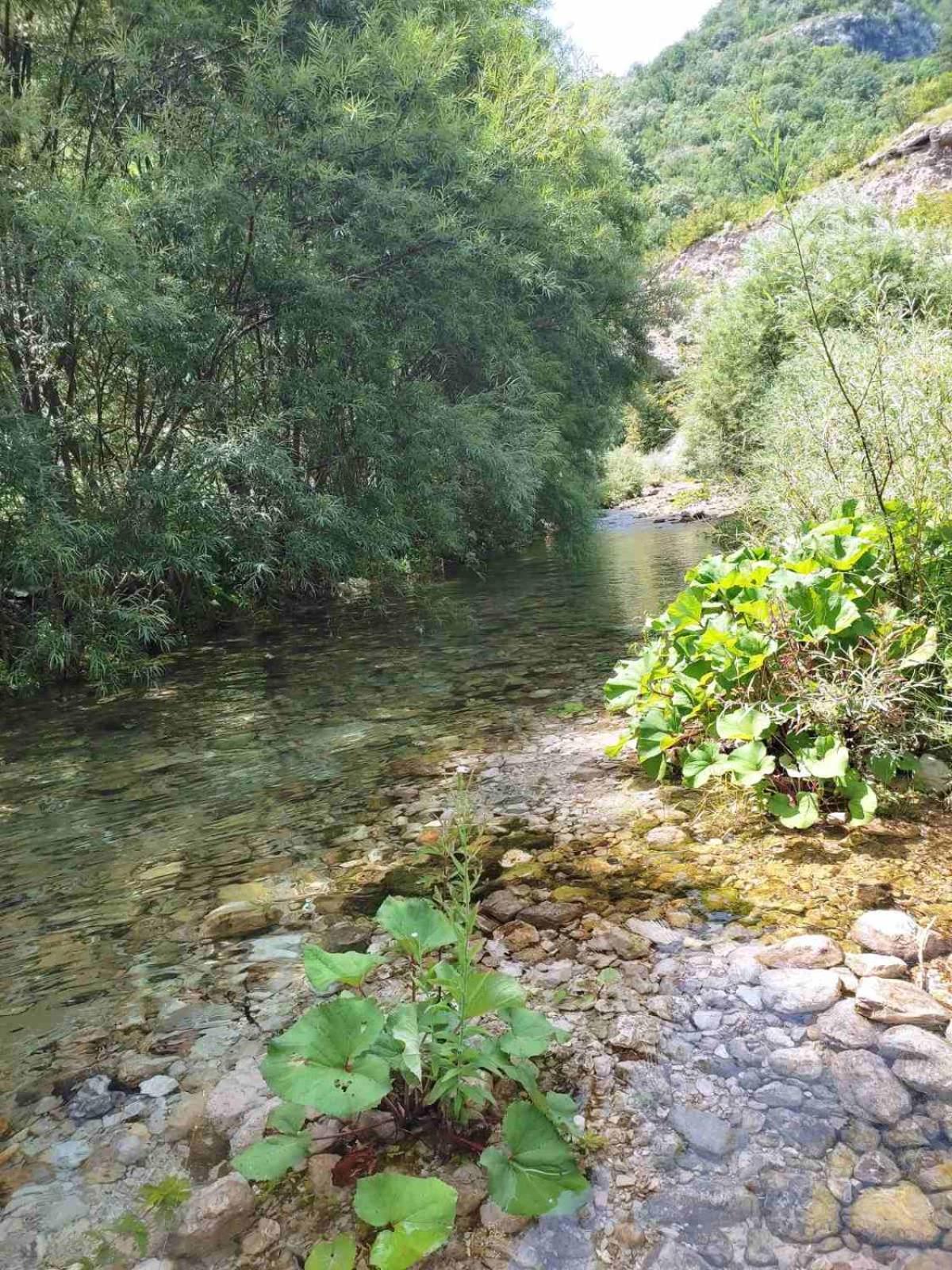 Kuca Za Odmor Diva Mostar Exterior foto